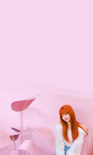 블랙핑크 사진 — 블랙핑크 배경화면