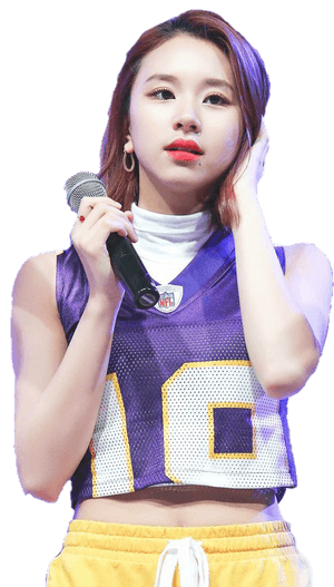 K팝 스타 공연용 마이크