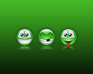 MSN 메신저 초록 이모티콘