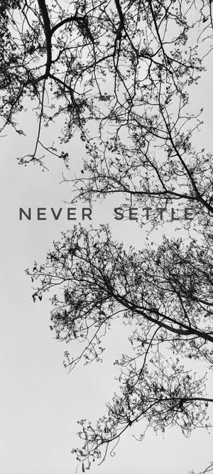 Never Settle 화이트 블랙 트리 — 아이폰 14 프로 배경화면