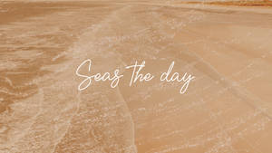 Seas The Day 크림 미학