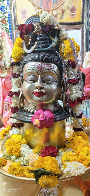 Ujjain Mahakal Yellow Flowers — 갤럭시 S25 엣지 배경화면
