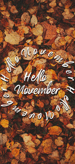 가을 낙엽 위의 Hello November 배경화면 — 아이폰 14 프로 배경화면