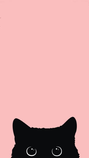 검은 고양이 아이폰 12 배경화면