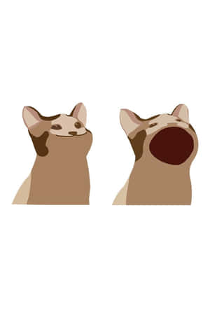 저주받은 고양이 사진 — 감성 고양이 배경화면