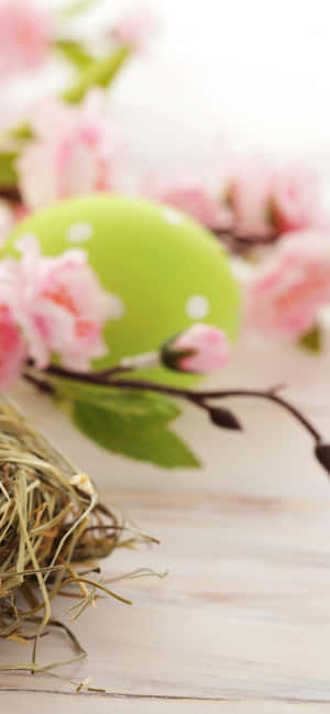 귀여운 부활절 아이폰 — 갤럭시 A55 배경화면