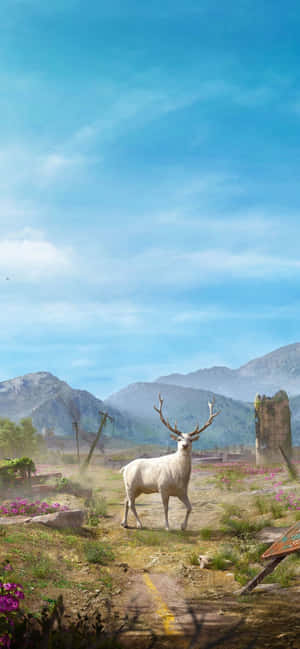iPhone Xs Max Far Cry 5 배경 — Fairphone 6 배경화면