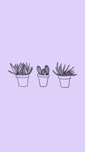 라벤더 파스텔 퍼플 감성 배경 — 라벤더 감성 배경화면