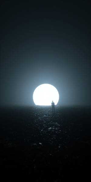 달이 있는 어두운 밤 배경화면 — 어두운 숲 배경화면