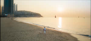 해변, 석양 해변, 석양 미학, 석양, 도시 해변, 도시, 해변 주택, 미학, 해변 풍경, 해변 석양