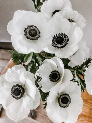 만개한 아네모네 꽃 — 3:4 배경화면