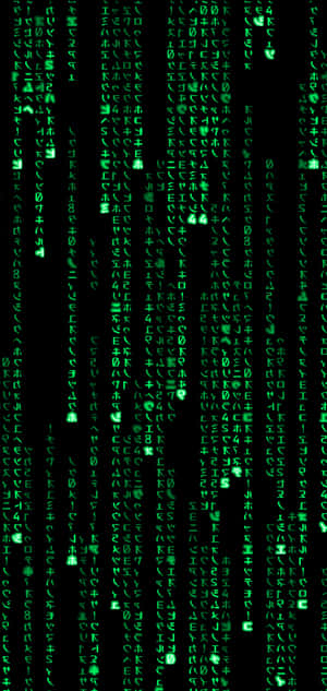 매트릭스 아이폰 — 샤오미 17 프로 맥스 배경화면