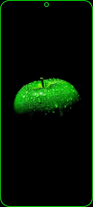 4K AMOLED 배경화면