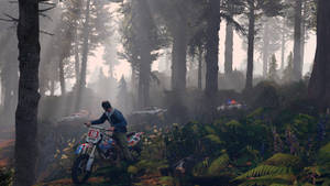 멋진 GTA 경찰 따돌리기 — GTA 배경화면