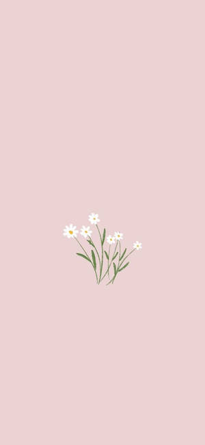 미니멀리스트 봄 — 갤럭시 A 배경화면
