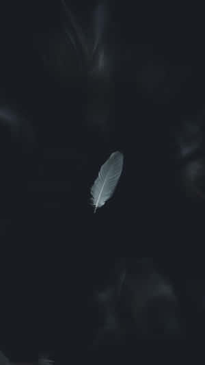미적인 흑백 사진 — 미학적인 흑백 배경화면