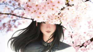벚꽃 배경화면