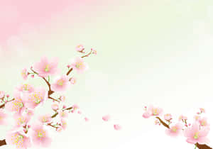 벚꽃 배경화면
