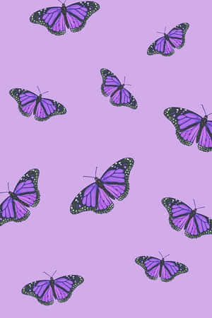 귀여운 보라색 배경