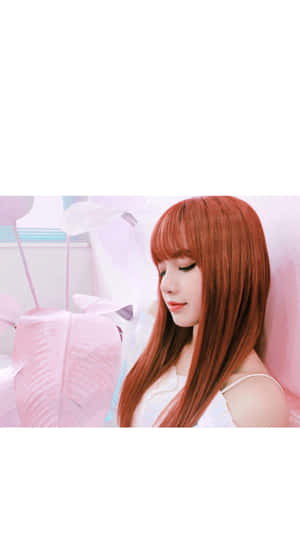블랙핑크 사진 — 검은 애니메이션 배경화면
