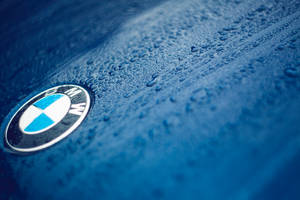방울이 맺힌 파란색 자동차 위 BMW 로고의 클로즈업 벽지
