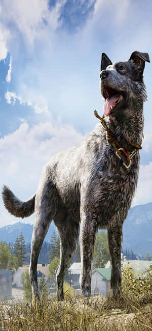 아이폰 Xs Far Cry 5 배경화면 — POCO F 배경화면