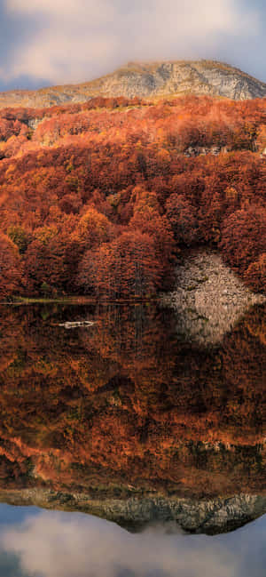 iPhone Xs Max 가을 배경 — POCO C 배경화면