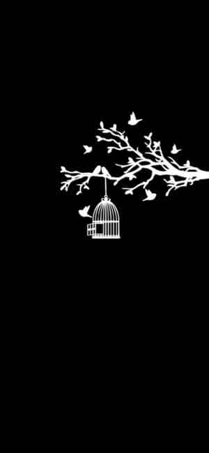 픽셀 3XL 아몰레드 배경 — AMOLED 배경화면