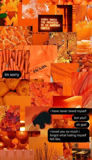 오렌지 감성 배경 — 오렌지 감성 GIF 배경화면