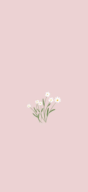 미니멀리스트 봄 — 픽셀 9 프로 배경화면