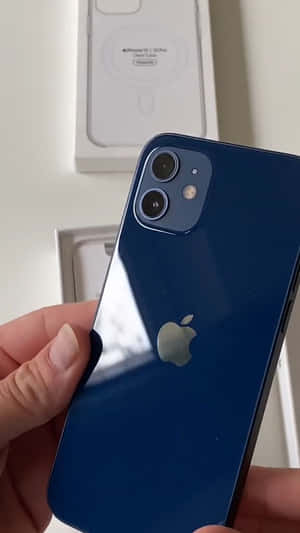 iPhone 12 사진