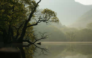 1280x800 — 1280x720 배경화면