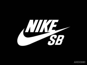 시원한 나이키 SB
