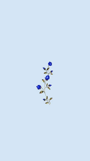 심플 블루 미학 블루 로즈