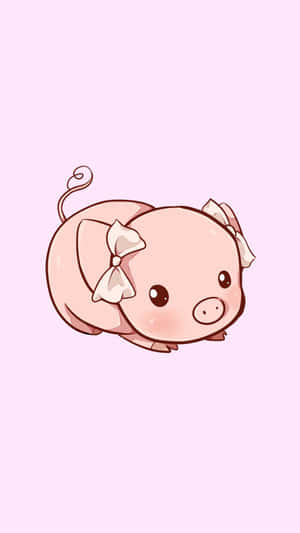 귀여운 돼지 사진 — 귀여운 돼지 GIF 배경화면