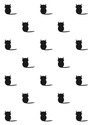 검은 고양이 사진 — 검은 고양이 배경화면