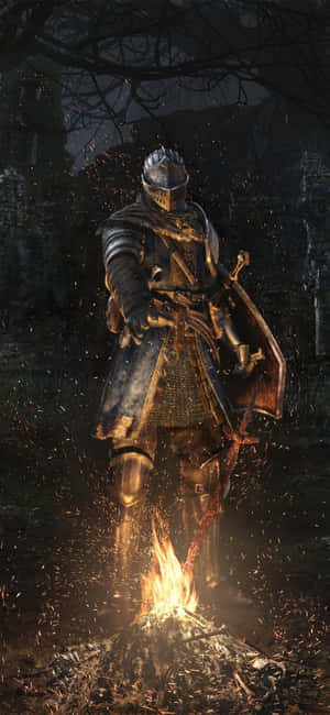 Android For Honor 배경화면 — IQOO Z10R 배경화면