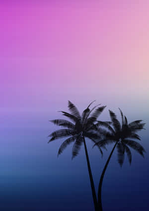 Palm Trees Background — iPad Air 11 배경화면