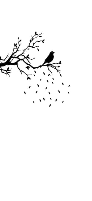 화이트 폰 — 샤오미 15S 프로 배경화면