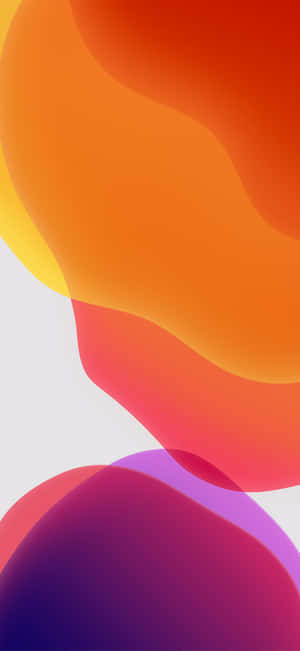 오렌지와 틸 — 오렌지 감성 GIF 배경화면