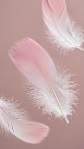 섬세한 연분홍과 흰색의 옴브레 깃털이 부드럽게 떠다니는 모습. — 연핑크 감성 배경화면