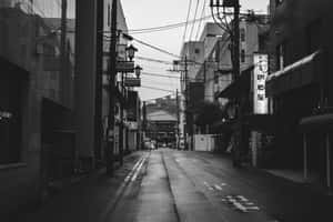 우아한 흑백 미적 배경 — 미학적인 흑백 배경화면