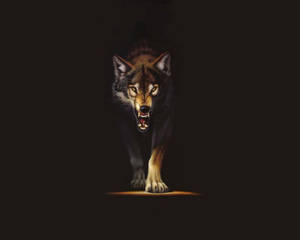 어두운 방 안에서 카메라를 향해 걸어오는 화난 갈색 늑대