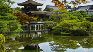 일본 사진 — 일본 배경화면