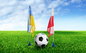 축구 우크라이나 폴란드 깃발 초록색 축구장 배경화면