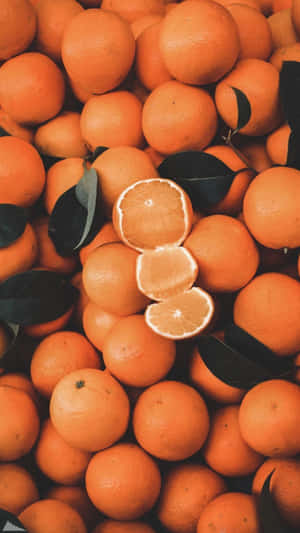 오렌지 감성 사진 — 오렌지 감성 GIF 배경화면