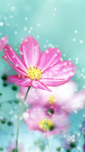 자연의 아름다움을 담은 생생한 꽃 아이폰 배경화면 — 플로럴 아이폰 배경화면