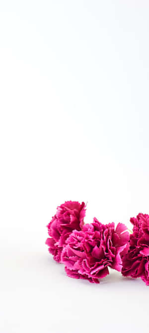 1080x2400 — 인피닉스 스마트 10 HD 배경화면