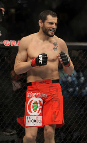 존 피치 UFC 141 옥타곤 입장 — Honor Pad 배경화면