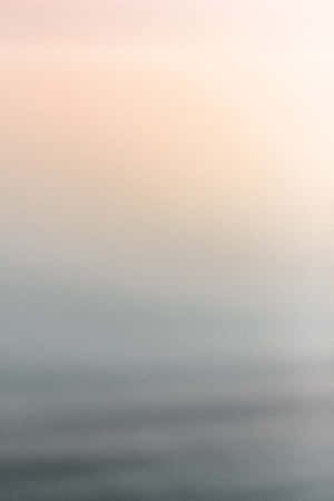 중립 배경